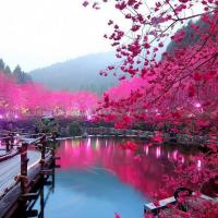 10071 602909713066526 1542352317 n