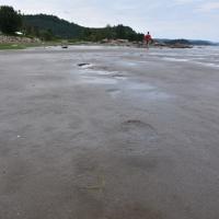 105597509 3123739574372078 3361481955302744940 n