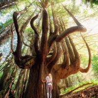 122135447 3549371348476727 2068467945592766569 o