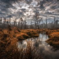 131426641 3712241285523065 2489478216753092552 o