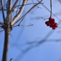 151605479 3775365762542786 8076182001609379853 n