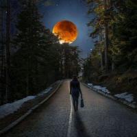 172127891 877572196442709 6625420231608296169 n 2