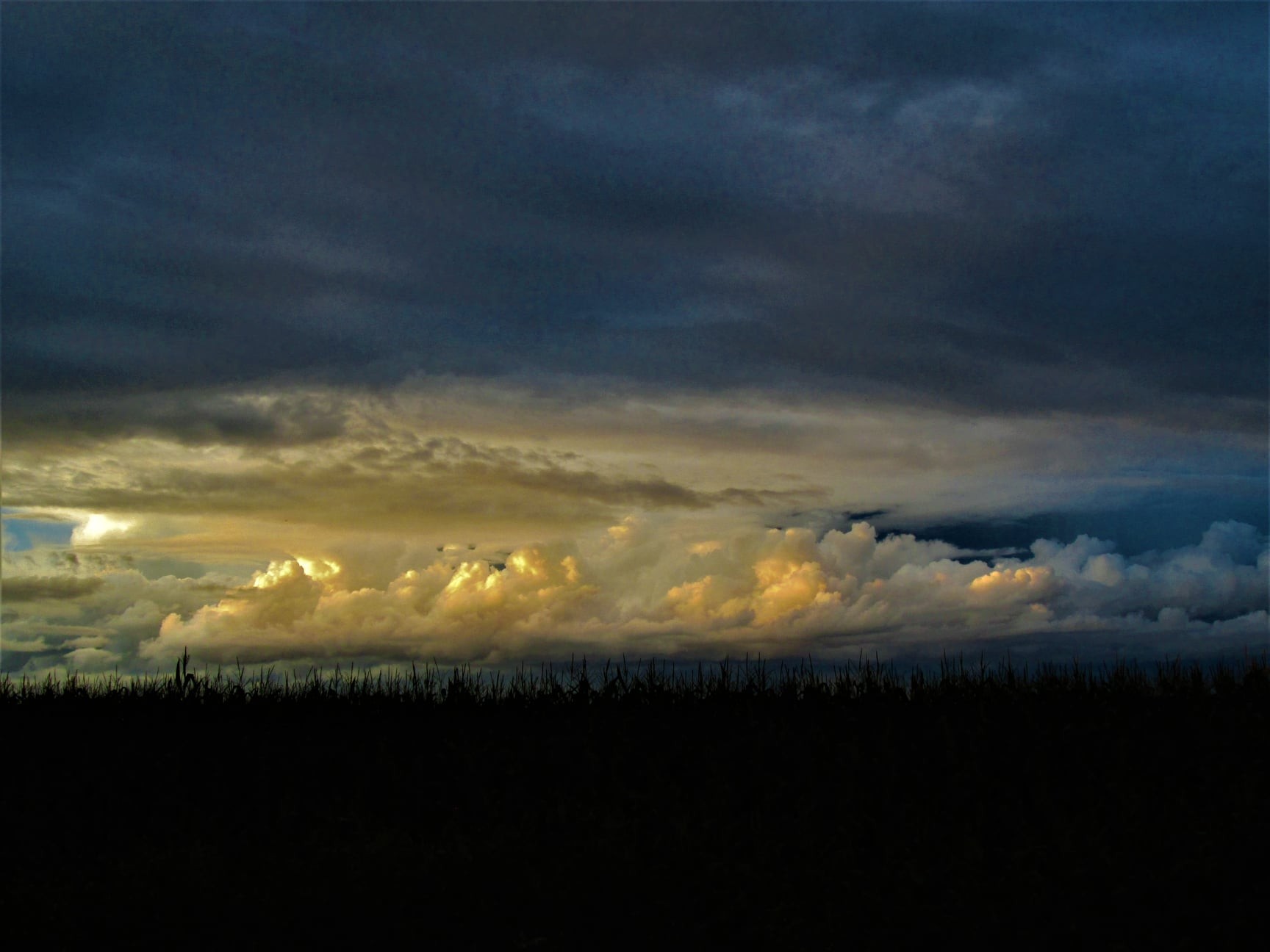 185393763 2267501790046349 343542914506481447 n