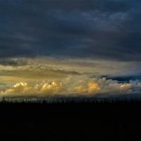 185393763 2267501790046349 343542914506481447 n