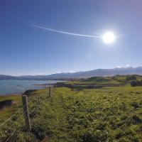 18623396 10158734911305693 1366037569304803272 o