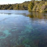 18623398 10158734840645693 7784702441866676086 o