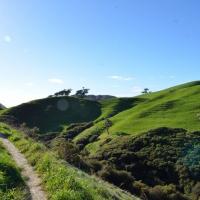 18623418 10158734844380693 8194132220487236666 o 1