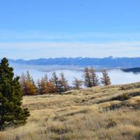 18623522 10158734961410693 7318134070036608853 o