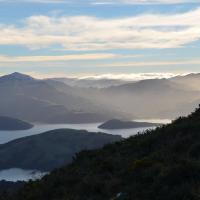 18672876 10158734945435693 8220602830846905354 o