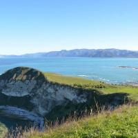 18673039 10158734910750693 4308333050757714702 o