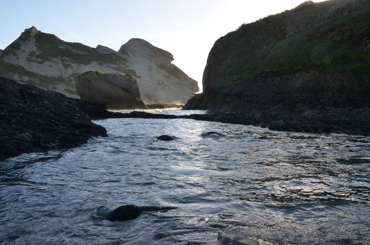 18673050 10158734866605693 4691514536753198627 o