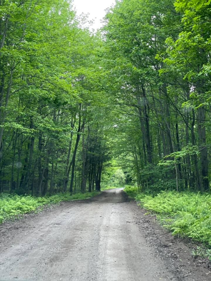 189343636 3919677988150355 7134784874024113889 n