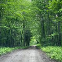 189343636 3919677988150355 7134784874024113889 n