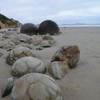 19143702 10158860616595693 6651896304896803725 o