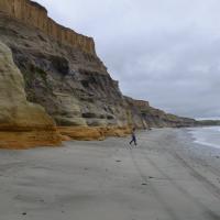 19221702 10158860619240693 1422426671992839361 o