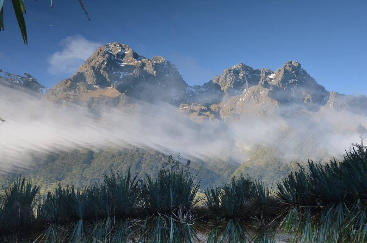 19222996 10158860622860693 4576226331022013758 o