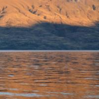 19237836 10158860645315693 2540881996880924494 o