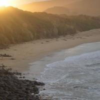 19390630 10158860609610693 5039453565367453403 o