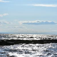 197746222 4088851197860906 1000072067523207628 n