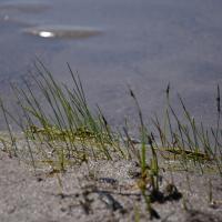 201604420 4104499146296111 371789915995267313 n