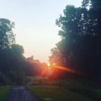 232827817 2836850893294405 5146541234873846094 n