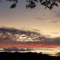 237515596 10222493494778430 2650357069322138001 n