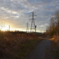 239684788 4295268560552501 4856792951987077174 n 1