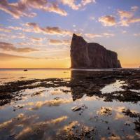 242506920 367275965120864 6919209605352395024 n