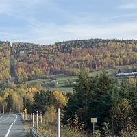 245553496 10221179329177454 1300317334180696994 n 1 copie