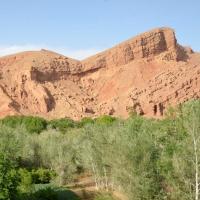 32186501 588982661487017 1387806733379829760 n