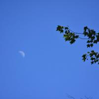 43218696 1955502531195794 7053058567502299136 n