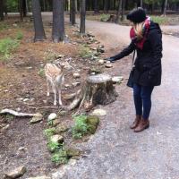 43548805 10155999498447169 8312118326130114560 n 2