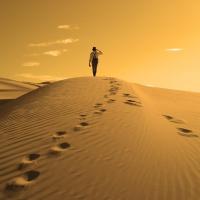 539705 441288529286434 658164706 n