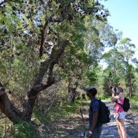 543811 10151423154059853 2024096561 n 1