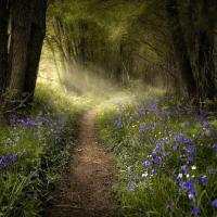 562149 358949244167842 455554110 n 1