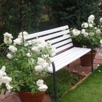 578245 308729839229407 171664288 n 1