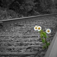 67829 441287502619870 1439800308 n