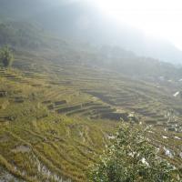 71758500 926717901046823 2986890471487307776 n