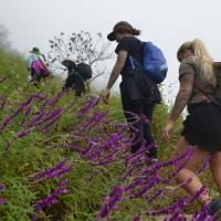 72266055 926717841046829 2824018474035052544 n 1