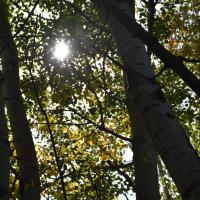 74209121 2586112301468144 1101668959784009728 n