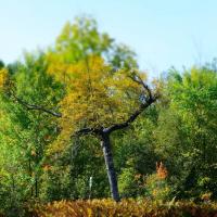 81430639 2703719746374065 6332925210617970688 n copie