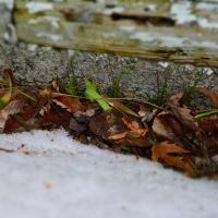 91495320 2906889226057115 7104013024414924800 n