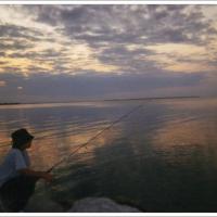 9351 212946195521080 921113537 n