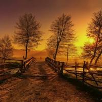 97993231 3086062114807655 346113680464674816 n