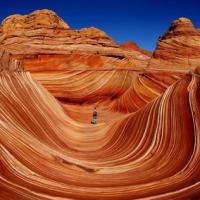 Coyotebuttesarnyzona 1 