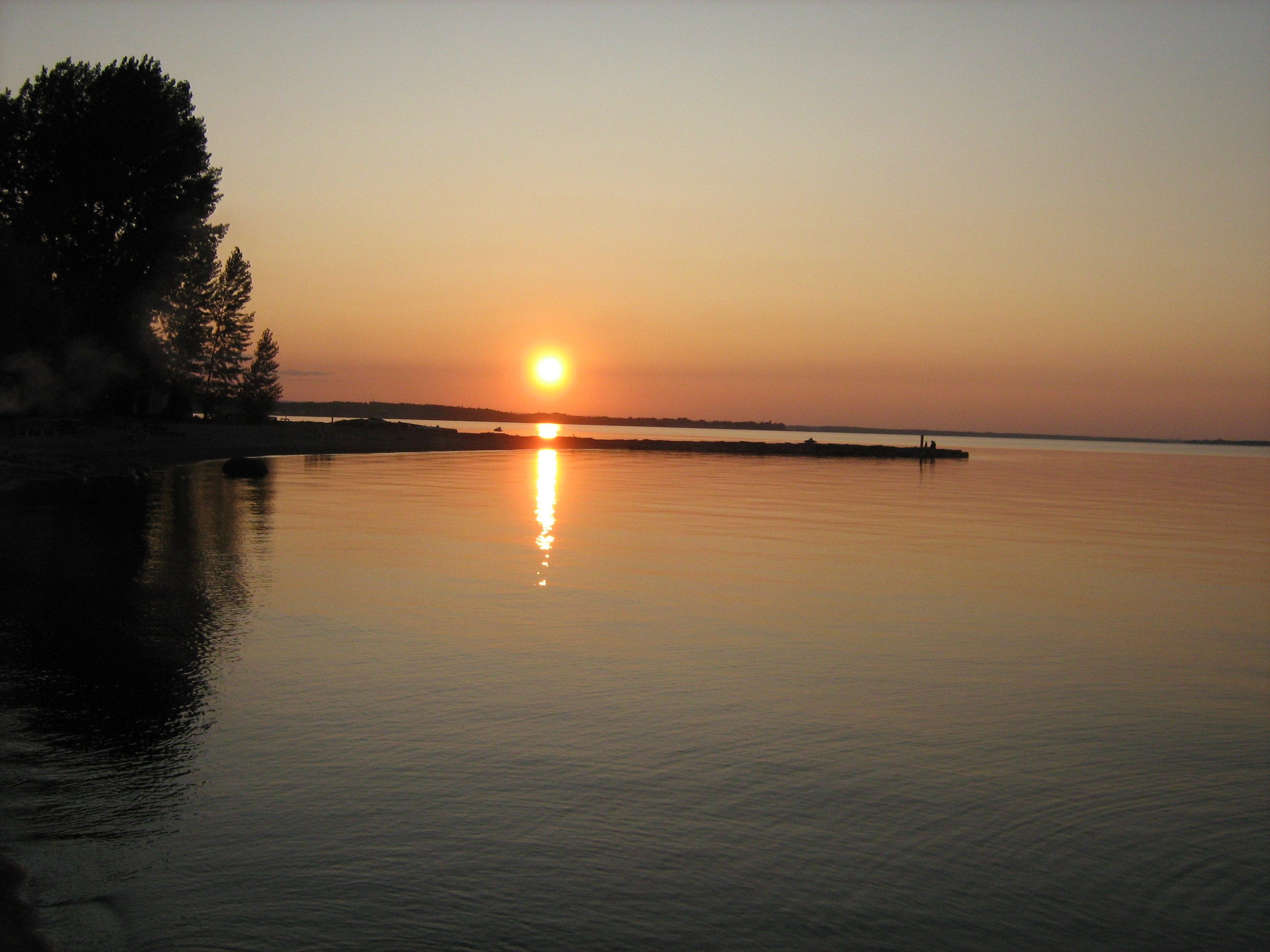 La brebis perdue je la chercherai ezechiel 34 16 