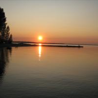 La brebis perdue je la chercherai ezechiel 34 16 