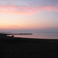 Le seigneur remet les egares sur le chemin psaumes 24 8 