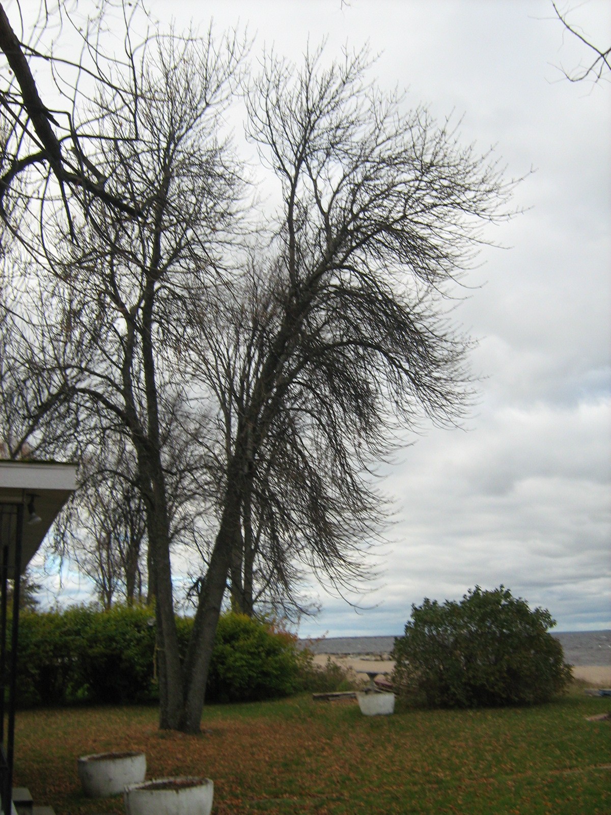 Maison o c b 013