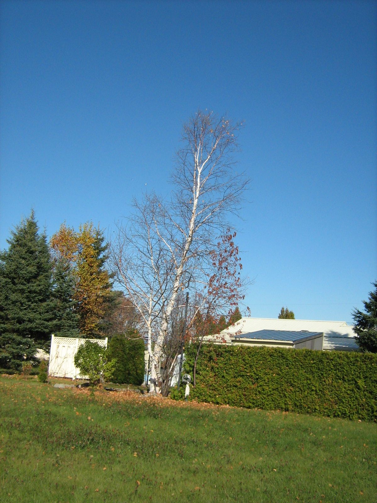 Maison o c b 019